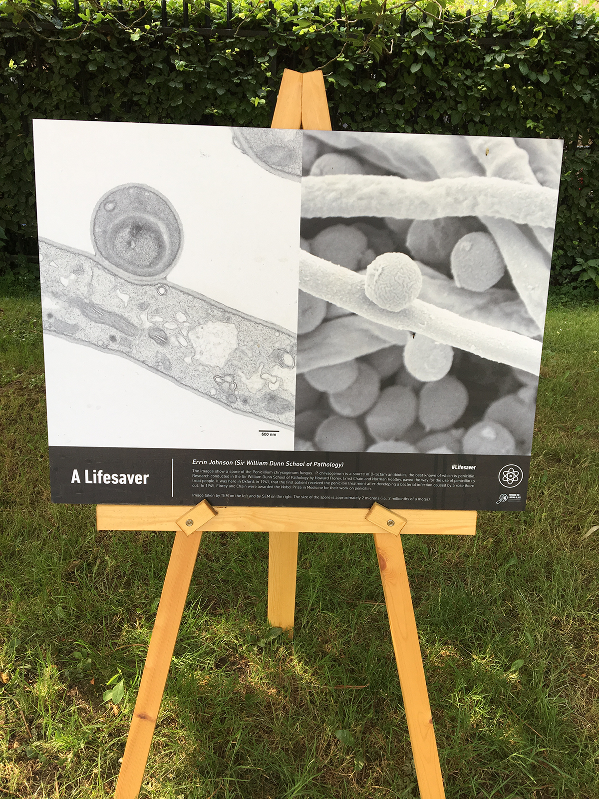 Posters in the Park3