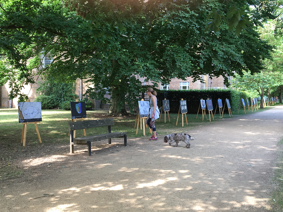 Posters in the Park6