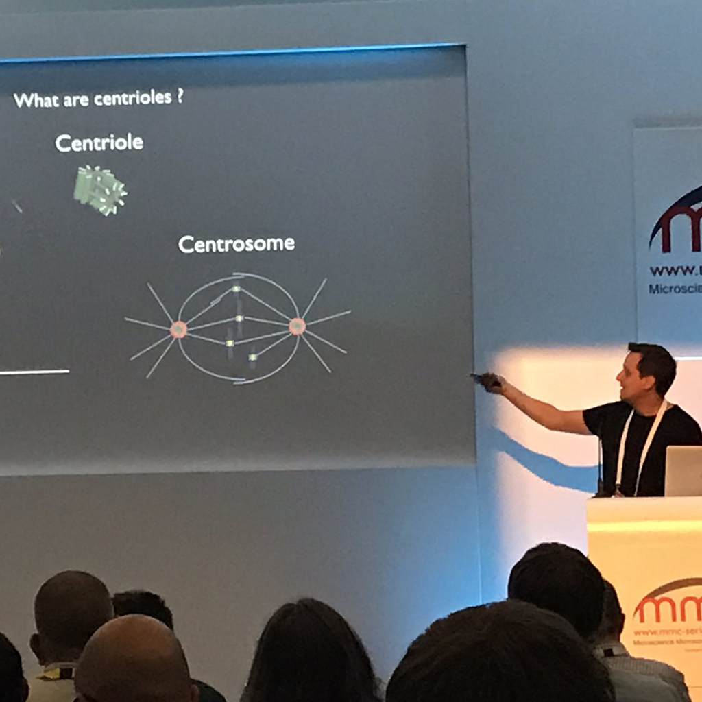 2019 - MMC_presentation_Alan